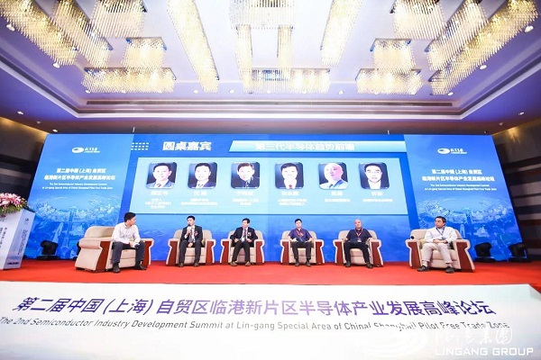IC industry to see further development in Lin-gang