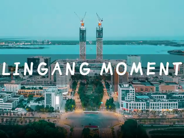 Video: Lin-gang Moment