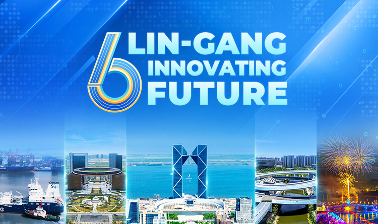 Lin-gang pioneers reform and openness through institutional innovation