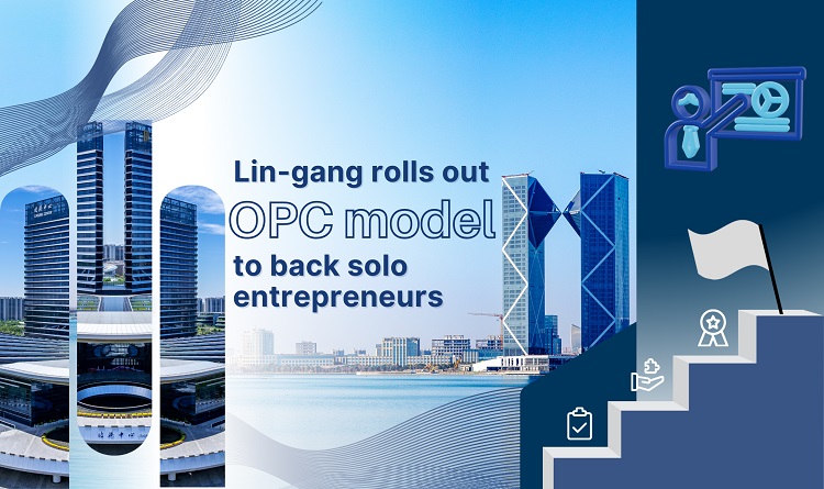 Lin-gang Special Area rolls out OPC model to back solo entrepreneurs